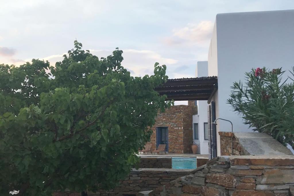 Luxury Cycladic Villa-Enjoy Infinity Pool Sunsets Koundouros エクステリア 写真